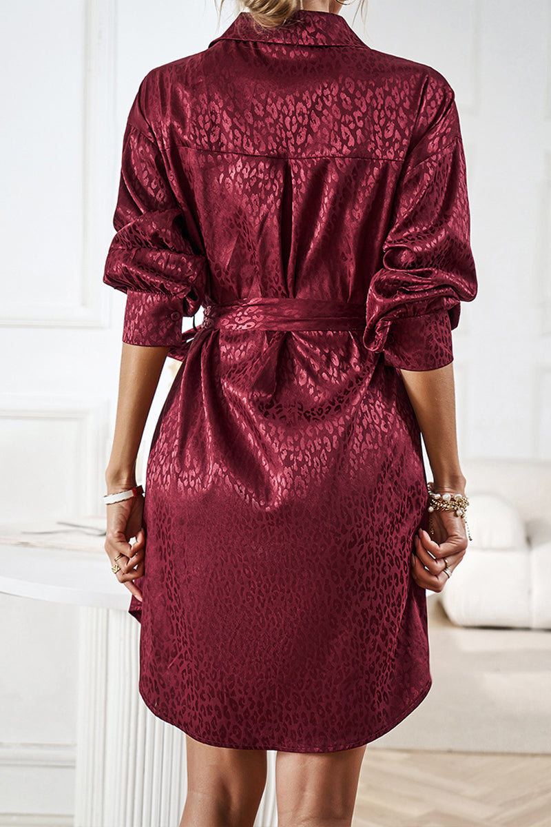 Sophisticated Dress with a Clean Classic Look