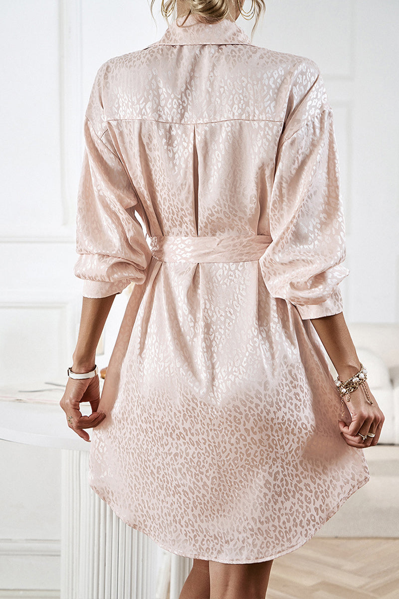 Sophisticated Dress with a Clean Classic Look
