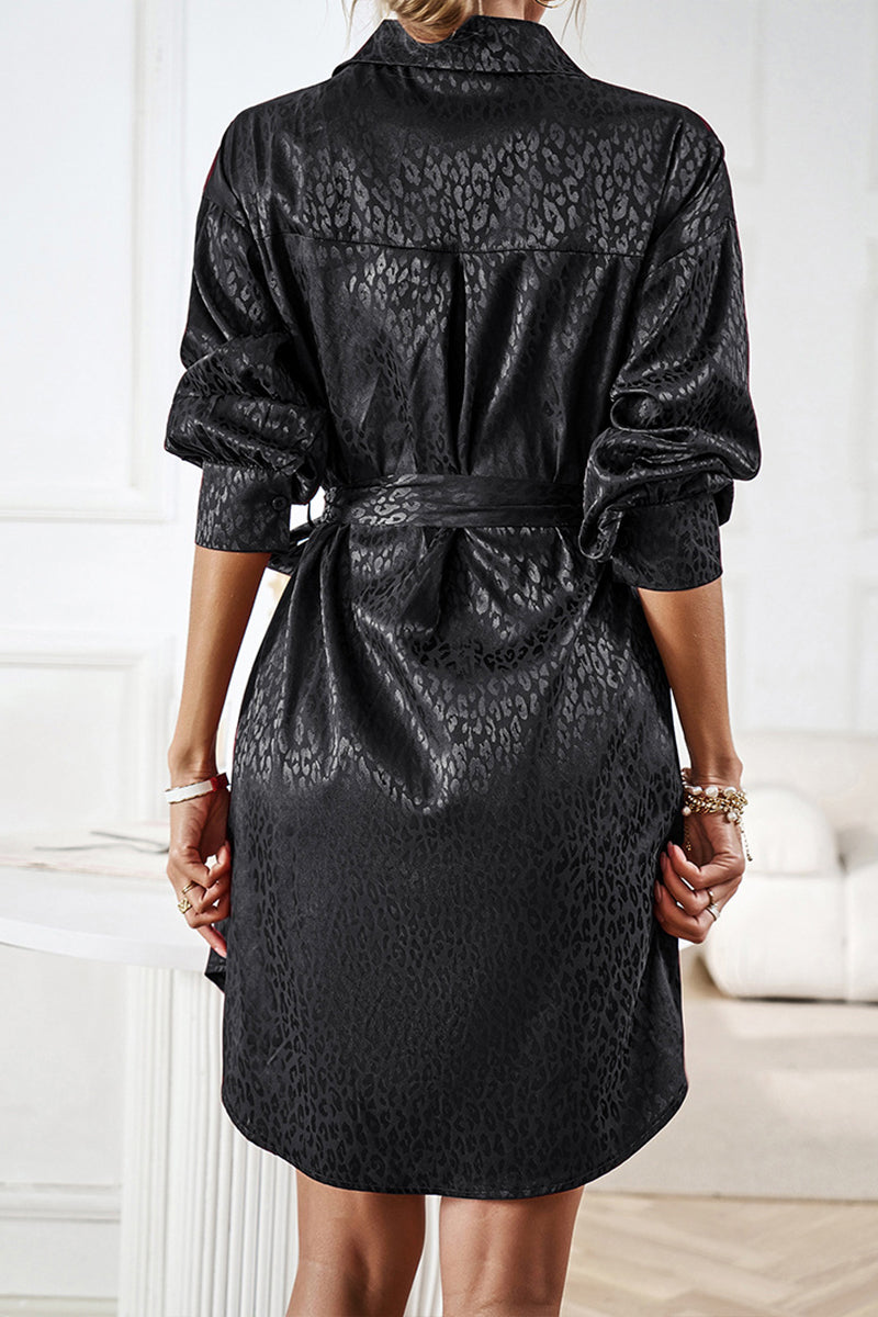 Sophisticated Dress with a Clean Classic Look