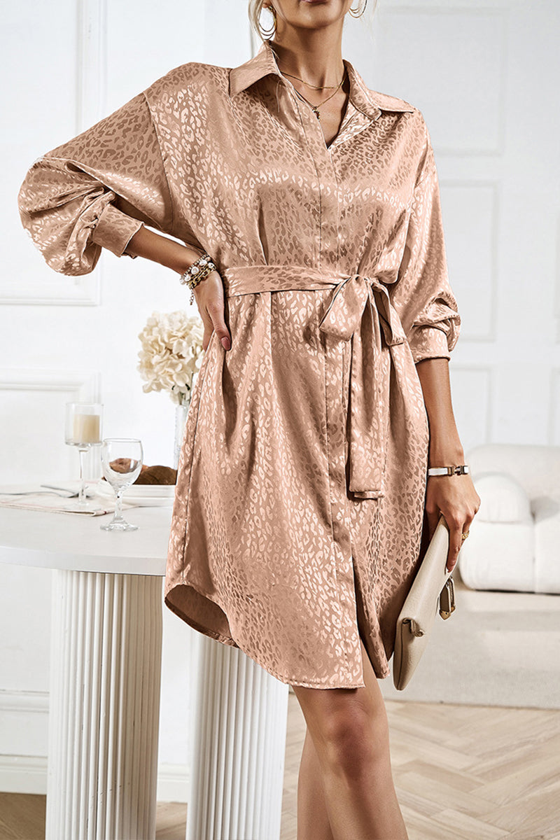 Sophisticated Dress with a Clean Classic Look